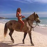 profile-pic